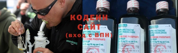 хмурый Гусев