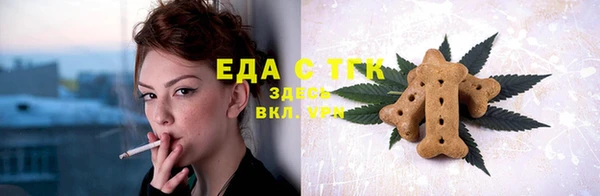 хмурый Гусев
