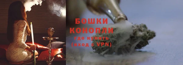 хмурый Гусев