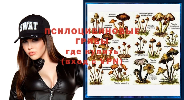 меф Гусь-Хрустальный