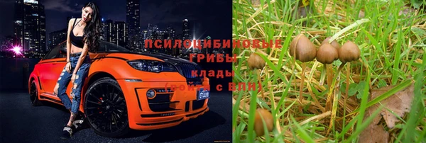 меф Гусь-Хрустальный