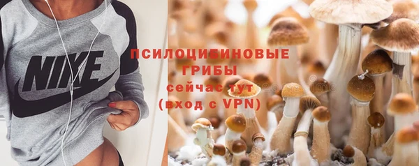 хмурый Гусев