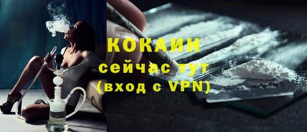 хмурый Гусев