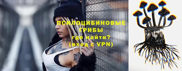 меф Гусь-Хрустальный