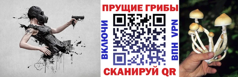 купить наркотики цена  Батайск  Галлюциногенные грибы MAGIC MUSHROOMS 