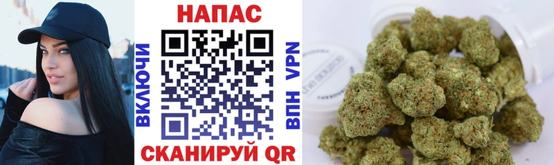 Каннабис AK-47  где найти наркотики  Батайск 